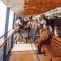 Nathan Lane sits for his shot on the ferry. Note the diffusion on the left and bounce board on  the right. The camera will dolly on the plywood into a closeup.